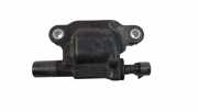 Zündspule LAND ROVER RANGE ROVER EVOQUE Cabrio (L538) 2.0 4x4 12619161