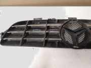 Vorderer oberer Gitter MERCEDES-BENZ CLK Cabrio (A209) CLK 320 CDI (209.420)
