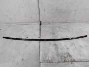 Dachleiste links PEUGEOT 407 Coupe (6C_) 2.7 HDi