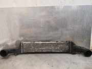 Ladeluftkühler Mercedes-Benz E-Klasse (W210) 2105002000