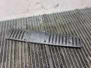 C-Säulenverkleidung hinten links FIAT DUCATO Furgon (250_, 290_) 100 Multijet 2,2 D 1308469070
