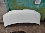 Motorhaube VW TRANSPORTER V (T5) Flatbed 2.5 TDI 3B0010212F