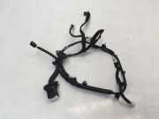 Türverkabelung hinten rechts NISSAN JUKE (F16) 1.0 241266PA0C