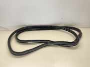 Dichtung für Koffer-/Laderaumklappe Lexus IS 3 (E3) 6446153030