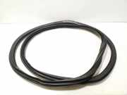 Dichtungsgummi der hinteren Tür (an der Karosserie) VW ID.4 (E21) PRO 11A867914B