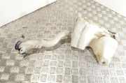 Behälter Scheibenwaschanlage Peugeot Partner I Combispace () 9647190180L00