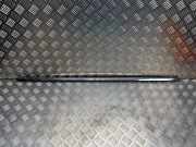 Türverkleidung links hinten Ford Galaxy (CK)