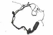 Kabel Tür BMW X3 (F25) 9252387