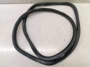 Dichtungsgummi der hinteren Tür (an der Karosserie) VW ID.4 (E21) PURE 11A867914B