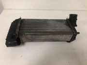Ladeluftkühler FORD FOCUS III 1.6 Flexifuel BV619L440CJ