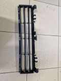 Gitter vorne unten BMW 5 (G30) 530 e iPerformance 7385257