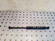 Gasfeder für Motorhaube BMW X5 (E53) 51238402551