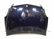 Motorhaube MERCEDES-BENZ R (W251, V251) R 350 CDI 4-matic (251.022, 251.122) A2518800157 A2518800057