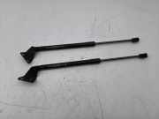 Gasfeder für Motorhaube Opel Antara (L07) 95917197