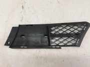 Gitter vorne unten BMW 3 (E90) 325 xi 7134082