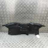 Anzeigetafel Rahmen RENAULT TRAFIC III Minibus / passenger (JG_) 2.0 dCi 150 (JGMU) 620366902R