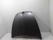 Motorhaube Renault Laguna III (T) 651002983R