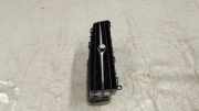 Gitter VOLVO V90 II 2.0 D4 31366590