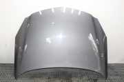 Motorhaube Opel Insignia A (G09) H05