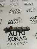 Kraftstoffzuführung AUDI A4 Avant (8ED, B7) 3.0 TDI quattro 059130089
