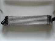 Ladeluftkühler VOLVO S60 II DRIVe / D2 31338471