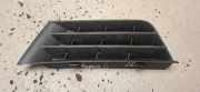 Gitter vorne unten RENAULT LAGUNA II (BG0/1_) 1.9 dCi (BG08, BG0G) 20101013