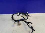 Kabelbaum Lexus RX 4 (L2) 8219248710F