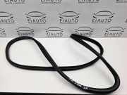 Türdichtung BMW X6 (E71, E72) 7195442