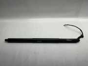 Heckklappe Gasdruckfeder links TESLA MODEL X 90D AWD 106566400A 1065664-00-A