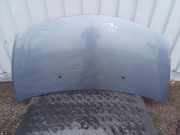 Motorhaube RENAULT CLIO III (BR0/1, CR0/1) 1.4 16V