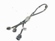 Kabelbaum Hyundai Santa Fe II (CM) 918902B000