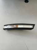 Blinker vorne links VW PASSAT B6 (3C2) 2.0 TDI 16V 3C0953041E