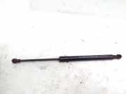 Gasfeder für Motorhaube Fiat 500L (351) 51923979