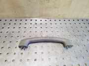 Andere Verkleidungsteile NISSAN PATHFINDER III (R51) 2.5 dCi 4WD