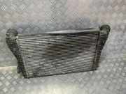 Ladeluftkühler VW Golf V Plus (5M, 521) 1K0145803T