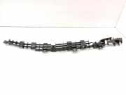 Dachleiste links TOYOTA CELICA (_T23_) 1.8 16V VT-i (ZZT230_) 6243520050