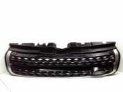 Vorderer oberer Gitter LAND ROVER RANGE ROVER EVOQUE Cabrio (L538) 2.0 D 4x4 GJ328200FB