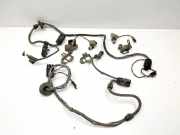 SONSTIGE KABELBÄUME