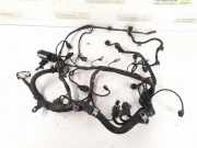 Motor Kabelbaum MERCEDES-BENZ A (W169) A 180 CDI (169.007, 169.307) 6401501833