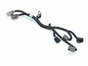 Kabelbaum KIA SPORTAGE (QL) 1.6 CRDi 438972D020A IZ12179J