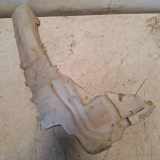Fensterwaschtank FORD FOCUS II Sedan (DB_) 1.6 4M5113K163