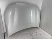 Motorhaube BMW 2 Gran Coupe (F44) 228i xDrive 41009492428