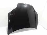 Motorhaube RENAULT LAGUNA III (BT0/1) 2.0 dCi (BT01, BT09, BT12, BT1S) 651000021R