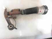 Stoßdämpfer vorne Mercedes-Benz S-Klasse (W220)