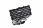 Frischluftgrill LEXUS RX (_L2_) 450h AWD 55670-48140