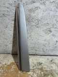 Zierleiste Kotflügel vorne links MERCEDES-BENZ CLK Cabrio (A209) CLK 320 CDI (209.420) A2096902562