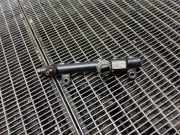 KRAFTSTOFFVERTEILER EINSPRITZLEISTE VERTEILERROHR FIAT DUCATO Furgon (250_, 290_) 100 Multijet 2,2 D 9674300080