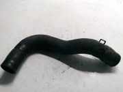 Schlauch Kühlung CITROËN C-CROSSER (EP_) 2.2 HDi