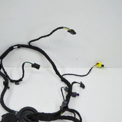 Kabel der vorderen linken Tür AUDI A8 D4 (4H_) 3.0 TFSI quattro 4H0971029NC Bild Kabel der vorderen linken Tür AUDI A8 D4 (4H_) 3.0 TFSI quattro 4H0971029NC