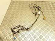 Kabel Tür vorne rechts MERCEDES-BENZ B (W245) B 180 CDI (245.207) A1695408133
